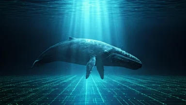 Decoding Whale Alerts: Tracking Crypto Giants for Smarter DeFi Moves